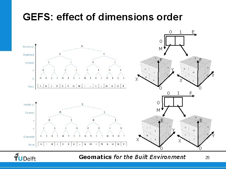 GEFS: effect of dimensions order 1 0 E 0 M F F Y X