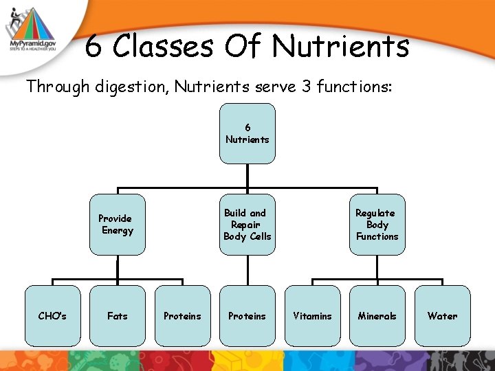 6 Classes Of Nutrients Through digestion, Nutrients serve 3 functions: 6 Nutrients Build and