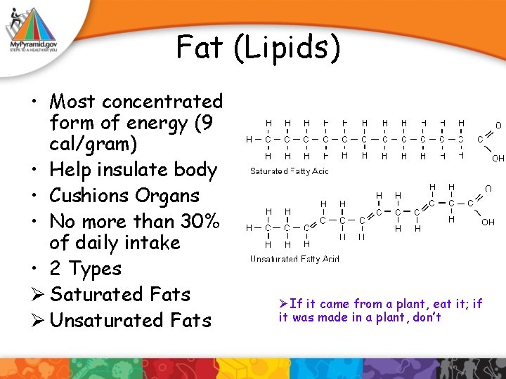 Fat (Lipids) • Most concentrated form of energy (9 cal/gram) • Help insulate body