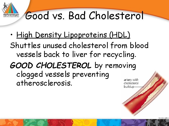 Good vs. Bad Cholesterol • High Density Lipoproteins (HDL) Shuttles unused cholesterol from blood