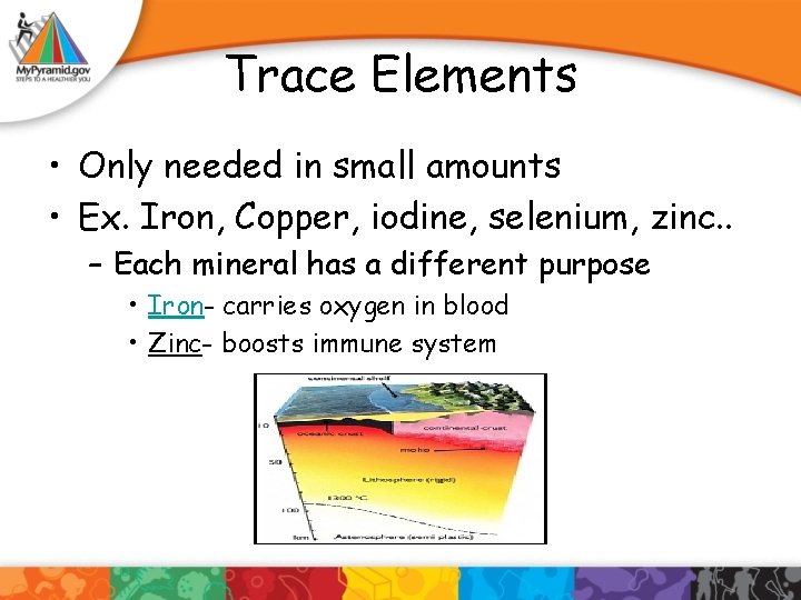Trace Elements • Only needed in small amounts • Ex. Iron, Copper, iodine, selenium,