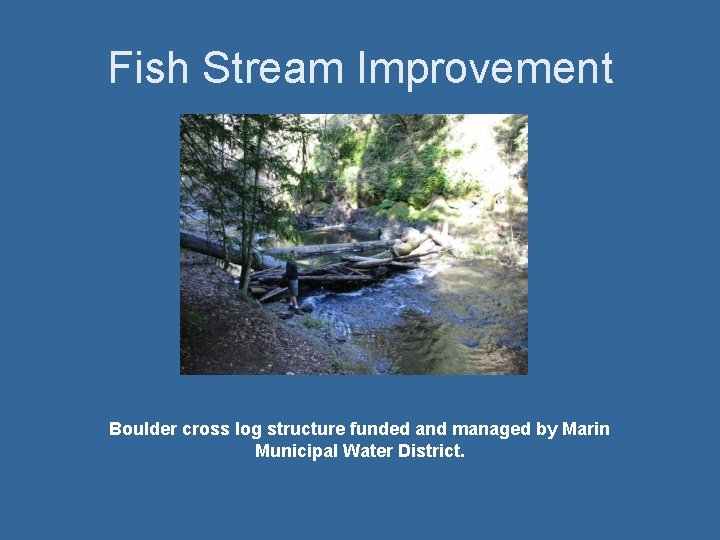 Fish Stream Improvement Boulder cross log structure funded and managed by Marin Municipal Water