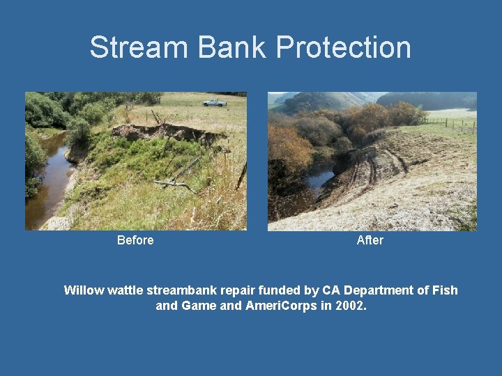 Stream Bank Protection Before After Willow wattle streambank repair funded by CA Department of