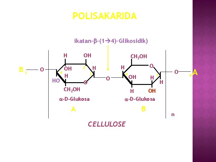 POLISAKARIDA ikatan-b-(1 4)-Glikosidik) B 1 O 4 HO H OH OH H 2 CH