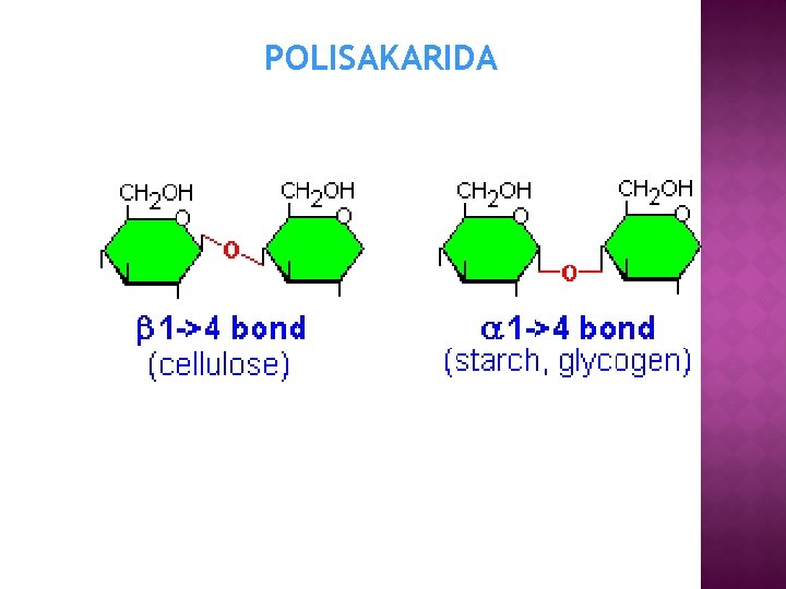 POLISAKARIDA 