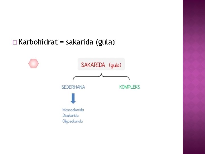 � Karbohidrat = sakarida (gula) 