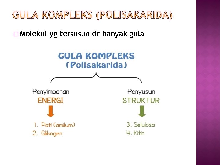 � Molekul yg tersusun dr banyak gula 