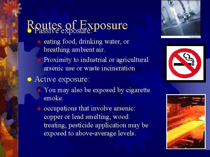 Routesexposure: of Exposure ® Passive eating food, drinking water, or breathing ambient air. ®