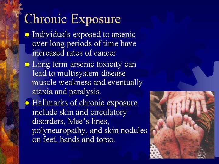 Chronic Exposure ® Individuals exposed to arsenic over long periods of time have increased