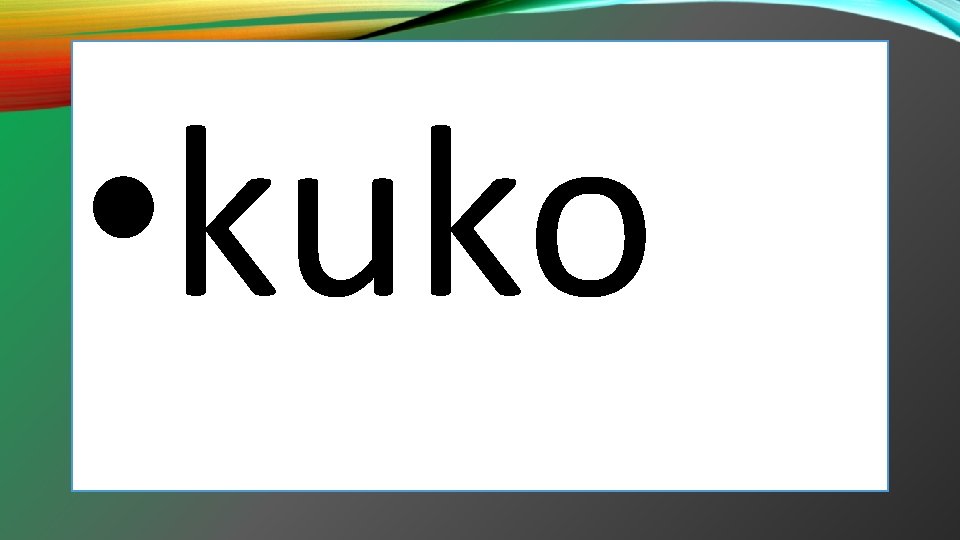  • kuko 