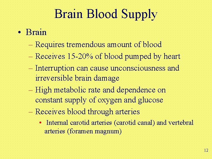 Brain Blood Supply • Brain – Requires tremendous amount of blood – Receives 15