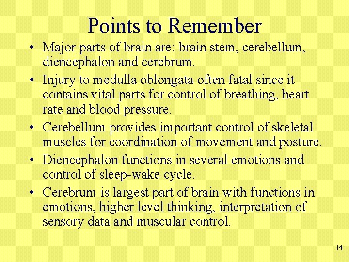 Points to Remember • Major parts of brain are: brain stem, cerebellum, diencephalon and