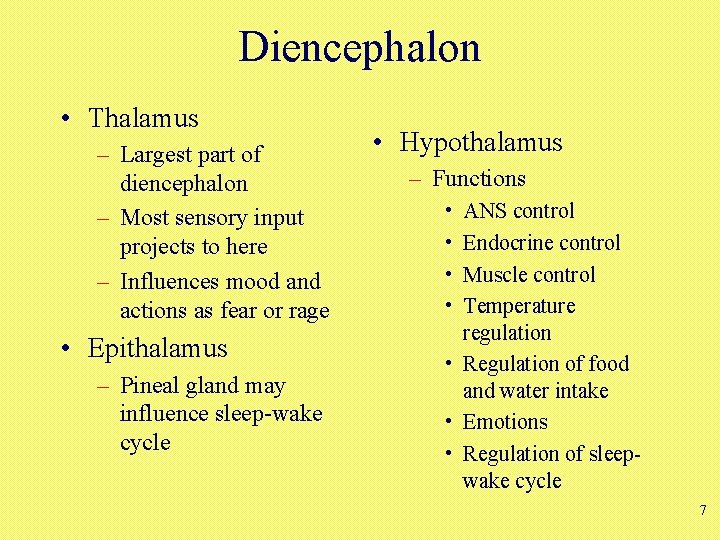 Diencephalon • Thalamus – Largest part of diencephalon – Most sensory input projects to