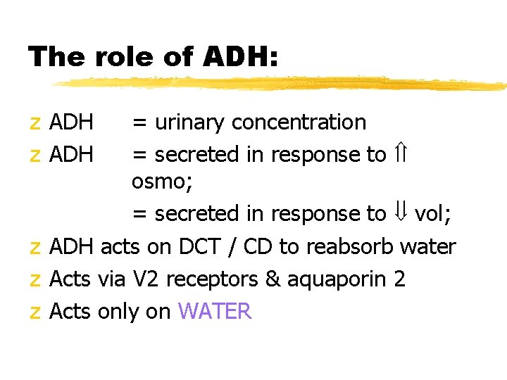 The role of ADH: z ADH = urinary concentration = secreted in response to