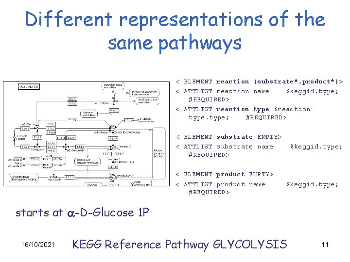 Different representations of the same pathways <!ELEMENT reaction (substrate*, product*)> <!ATTLIST reaction name %keggid.