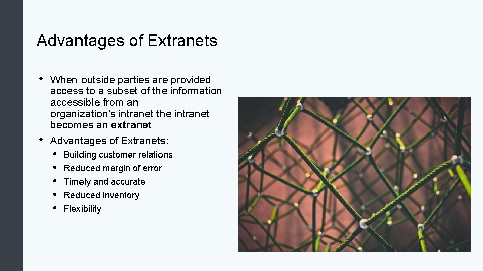 Advantages of Extranets • • When outside parties are provided access to a subset