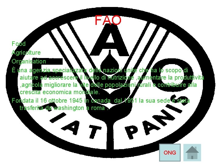 FAO Food Agricolture Organisation È una agenzia specializzata delle nazioni unite che ha lo