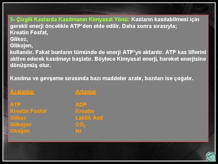 5 - Çizgili Kaslarda Kasılmanın Kimyasal Yönü: Kasların kasılabilmesi için gerekli enerji öncelikle ATP’den