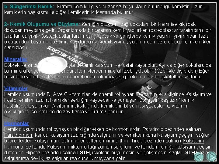 b- Süngerimsi Kemik: Kırmızı kemik iliği ve düzensiz boşlukların bulunduğu kemiktir. Uzun kemiklerin baş