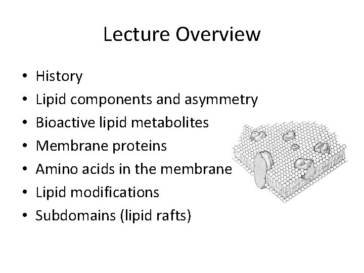 Lecture Overview • • History Lipid components and asymmetry Bioactive lipid metabolites Membrane proteins