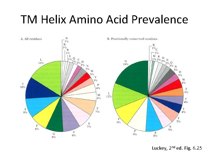 TM Helix Amino Acid Prevalence Luckey, 2 nd ed. Fig. 6. 25 