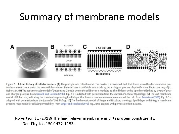 Summary of membrane models Robertson JL. (2018) The lipid bilayer membrane and its protein