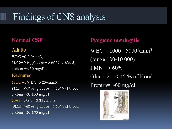 Findings of CNS analysis Normal CSF Pyogenic meningitis Adults WBC= 1000 - 5000/cmm 3
