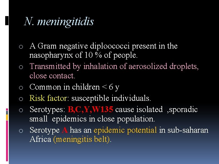 N. meningitidis o A Gram negative diploococci present in the nasopharynx of 10 %