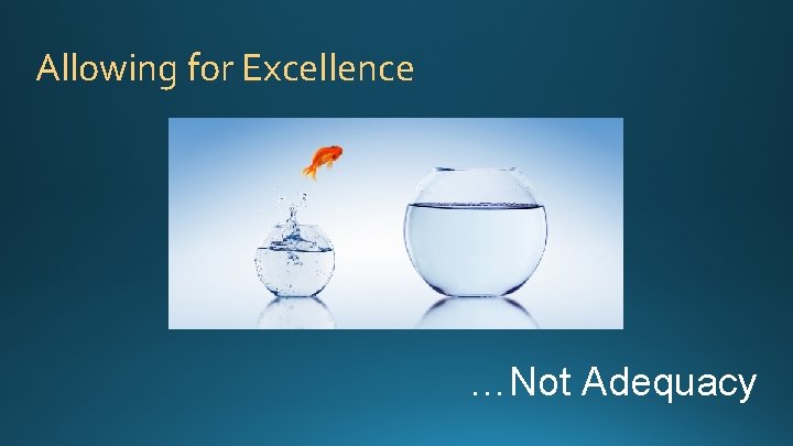Allowing for Excellence …Not Adequacy 