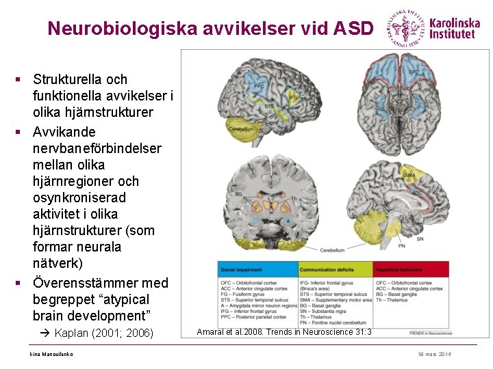 Neurobiologiska avvikelser vid ASD § Strukturella och funktionella avvikelser i olika hjärnstrukturer § Avvikande