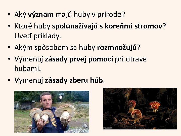  • Aký význam majú huby v prírode? • Ktoré huby spolunažívajú s koreňmi