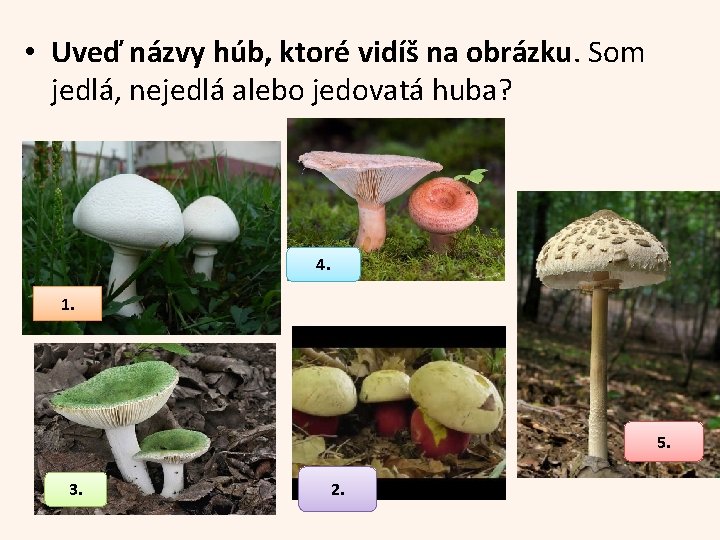  • Uveď názvy húb, ktoré vidíš na obrázku. Som jedlá, nejedlá alebo jedovatá