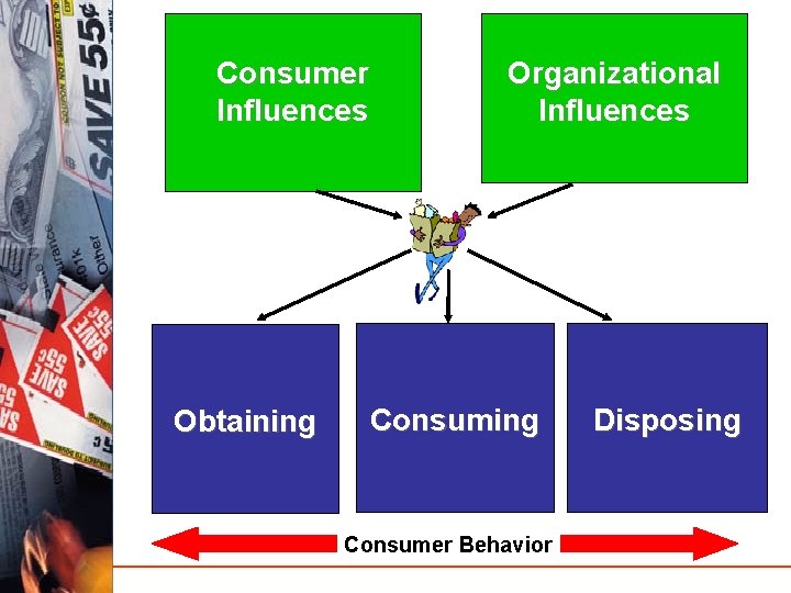 Consumer Influences Obtaining Organizational Influences Consuming Consumer Behavior Disposing 