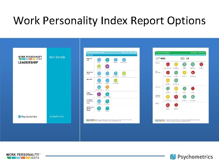Work Personality Index Report Options 