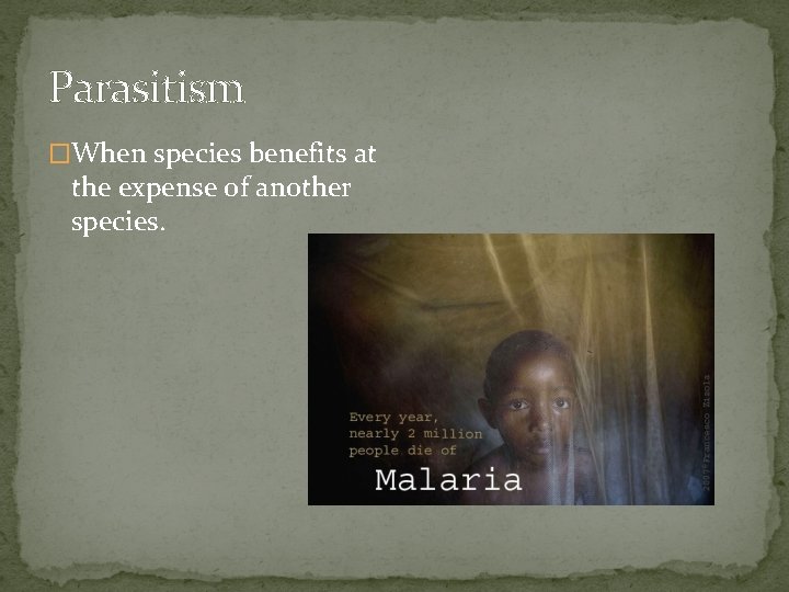 Parasitism �When species benefits at the expense of another species. 