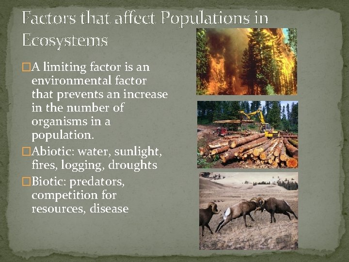 Factors that affect Populations in Ecosystems �A limiting factor is an environmental factor that