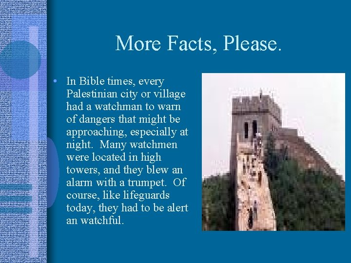 More Facts, Please. • In Bible times, every Palestinian city or village had a