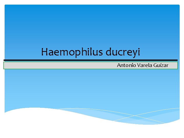 Haemophilus ducreyi Antonio Varela Guízar 
