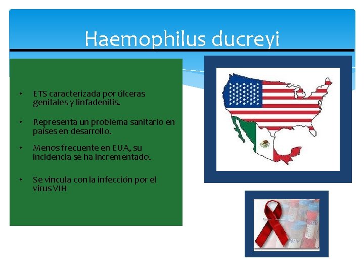 Haemophilus ducreyi Agente causal del chancro blando o chancroide. • ETS caracterizada por úlceras