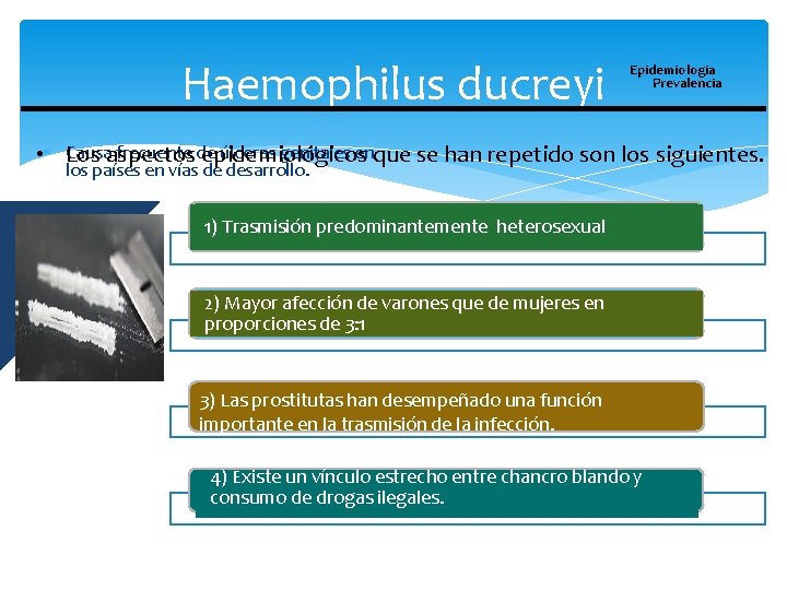 Haemophilus ducreyi Epidemiologia Prevalencia Causaaspectos frecuente de úlceras genitales enque se han repetido son