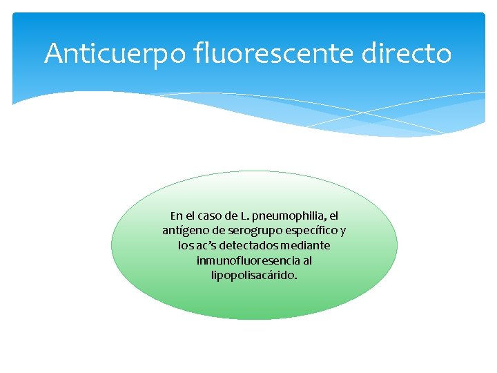 Anticuerpo fluorescente directo En el caso de L. pneumophilia, el antígeno de serogrupo específico