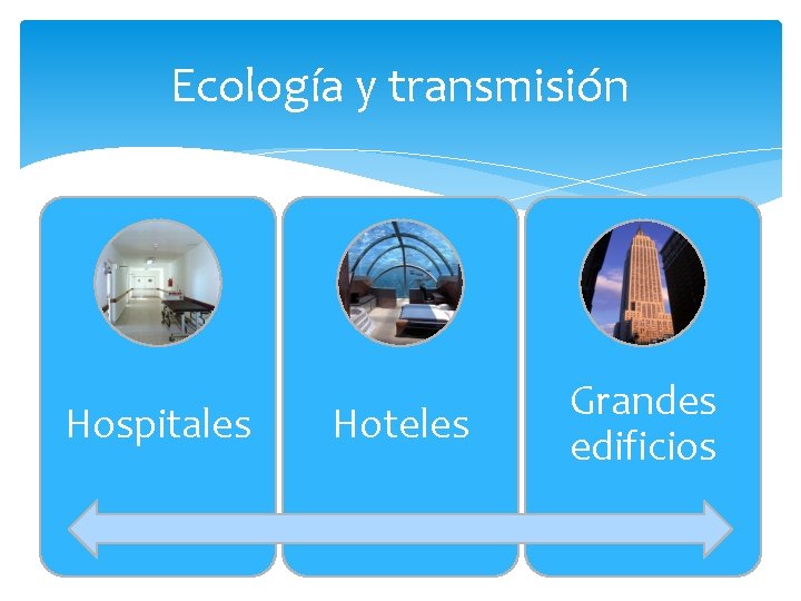 Ecología y transmisión Hospitales Hoteles Grandes edificios 