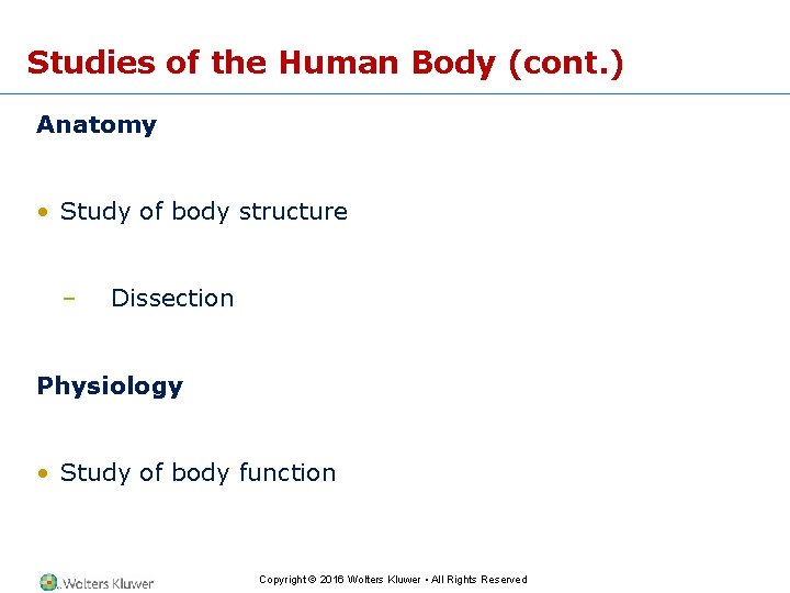 Studies of the Human Body (cont. ) Anatomy • Study of body structure –