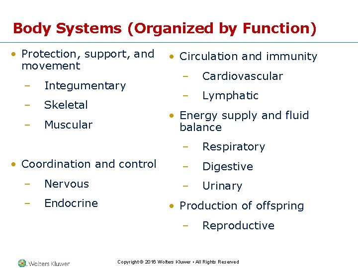 Body Systems (Organized by Function) • Protection, support, and movement – Integumentary – Skeletal