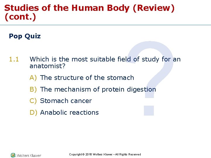 Studies of the Human Body (Review) (cont. ) Pop Quiz 1. 1 ? Which