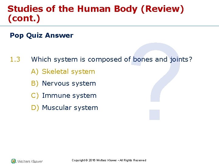 Studies of the Human Body (Review) (cont. ) Pop Quiz Answer 1. 3 ?