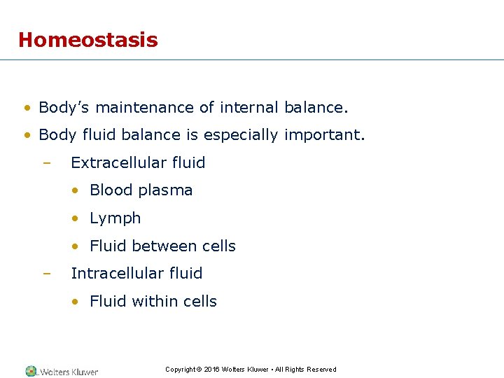 Homeostasis • Body’s maintenance of internal balance. • Body fluid balance is especially important.