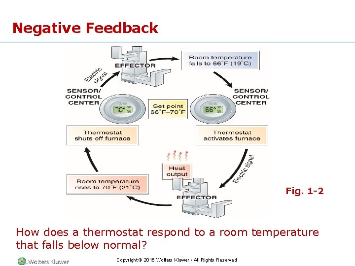 Negative Feedback Fig. 1 -2 How does a thermostat respond to a room temperature