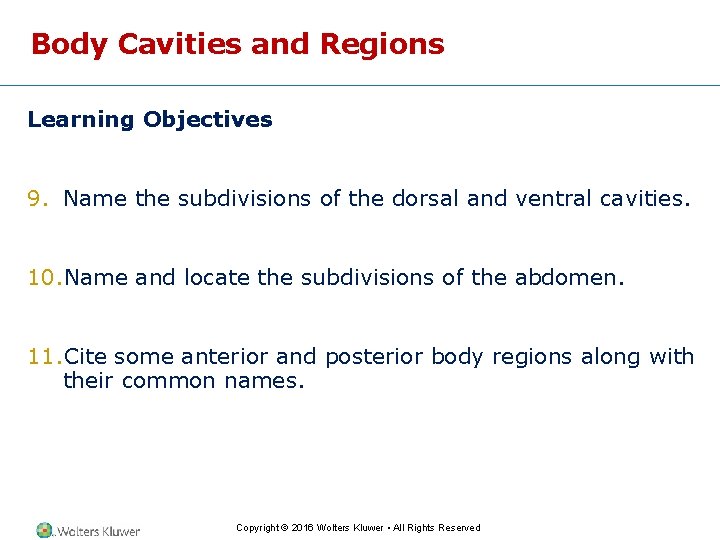Body Cavities and Regions Learning Objectives 9. Name the subdivisions of the dorsal and