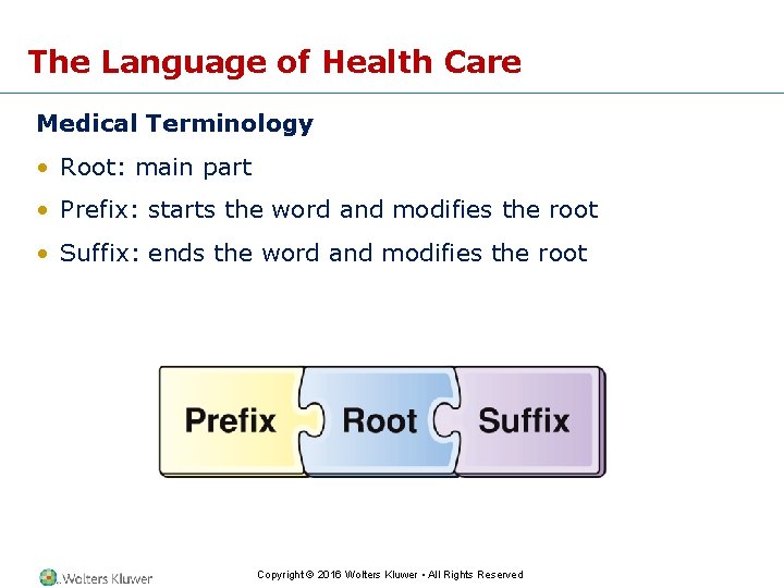 The Language of Health Care Medical Terminology • Root: main part • Prefix: starts
